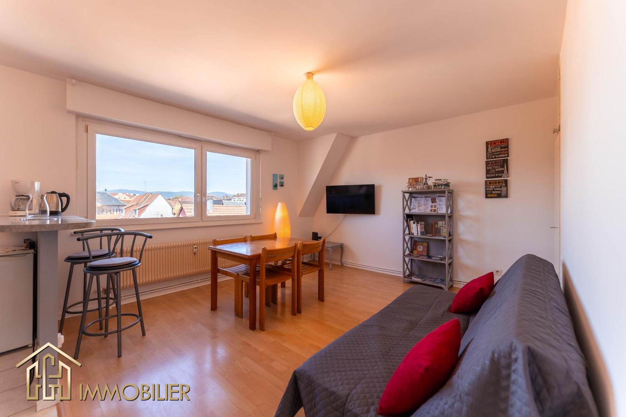 Appartement L'Orient - Parking Colmar Eksteriør billede